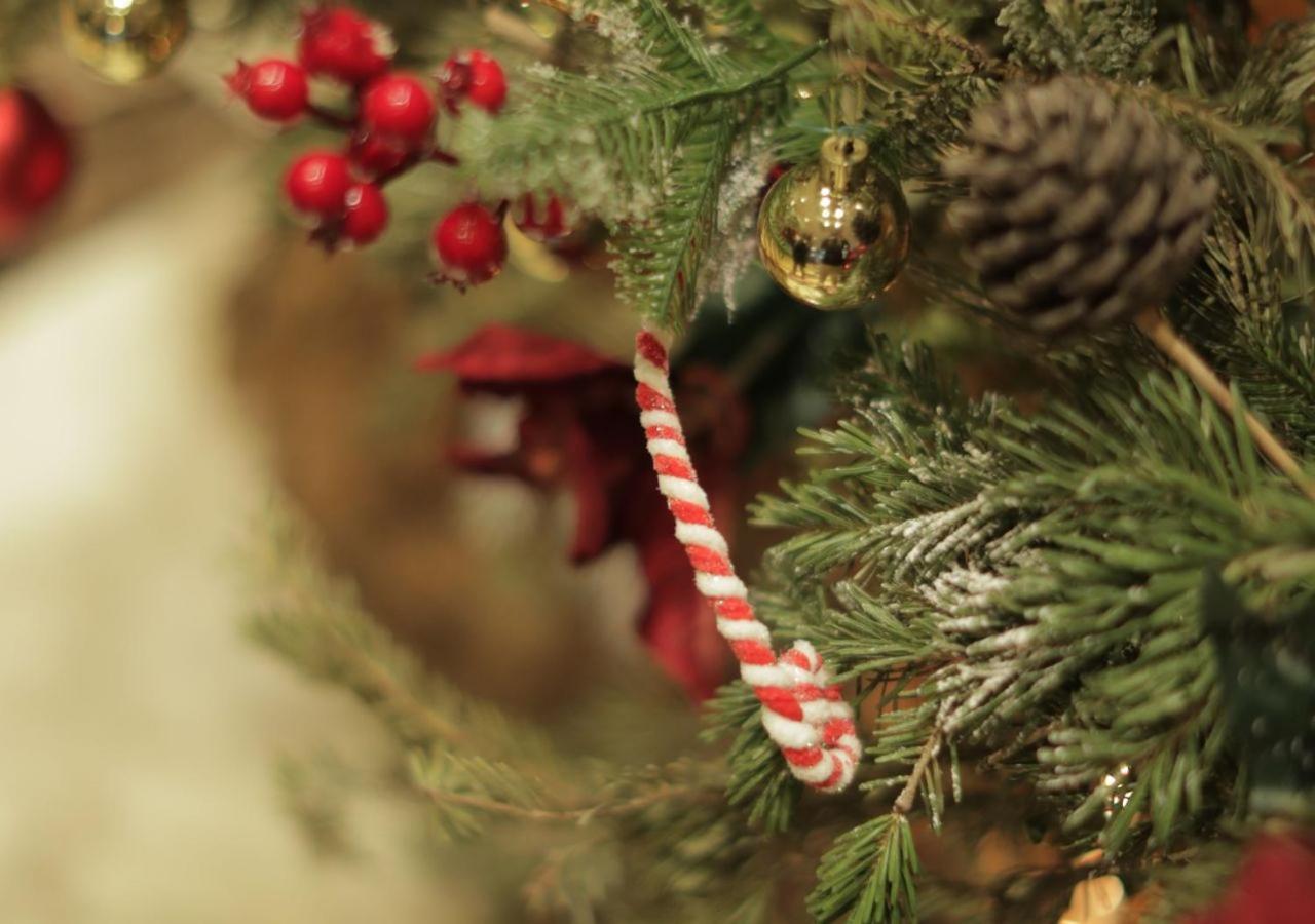 Gefinor Rotana - Beirut Hotell Eksteriør bilde A candy cane on a Christmas tree